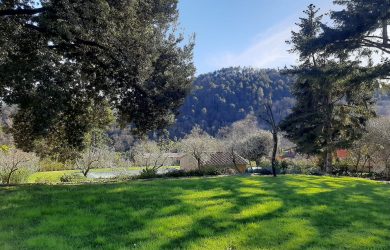 Gallery_Image_093