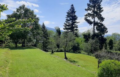 Gallery_Image_154